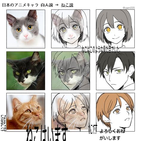 新事実であり真実かもしれない 日本のアニメキャラ＝猫説 話題の画像プラス