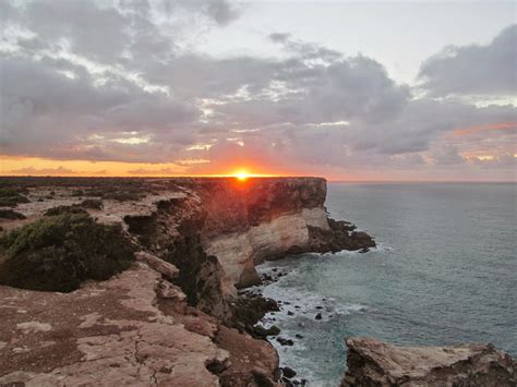 term     nullarbor  simon