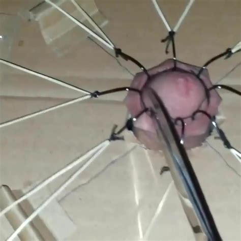 CBT Extreme Cock Torture With Fishhooks Part Gay Porn XHamster