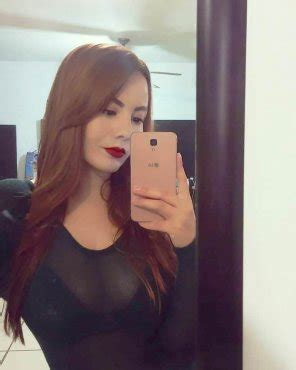 Big Boobs In See Through Blouse Porn Pic