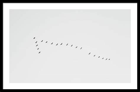 Migrating Birds - Minimalist Fine Art Photography Print - Martin Vorel