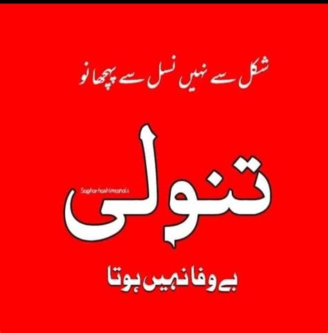 tnol  bat  history  tanoli tanokhel facebook