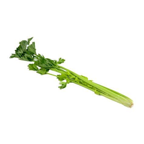 Celery Green Vegetarian Colors Celery Nutrition Vegetables Png