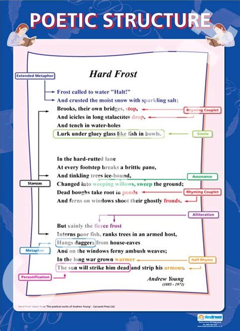 Poetic Structure Teaching Poetry High School English Posters