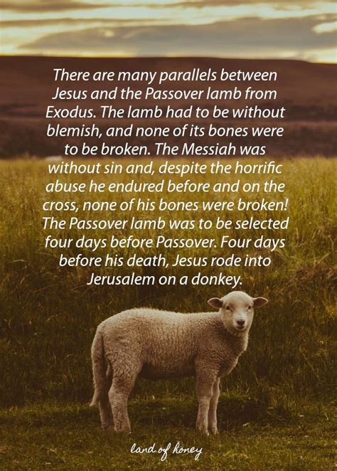 The Beginners Guide To Passover For Believers In Messiah Passover Passover Lamb