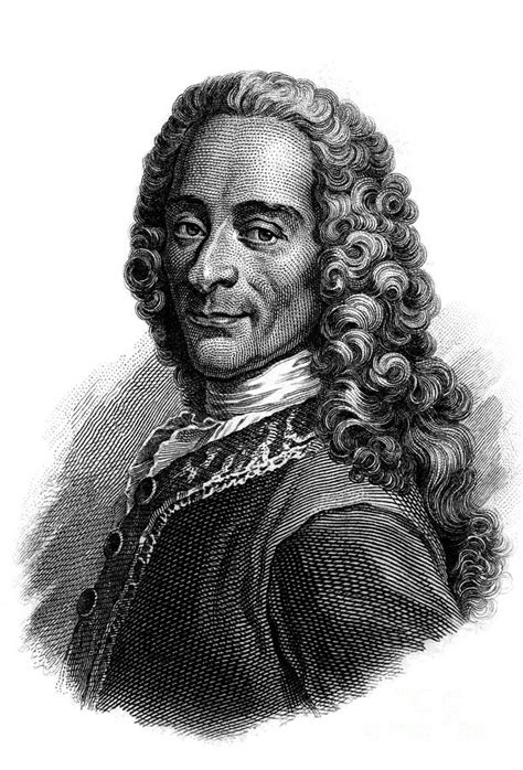 Portrait Of Voltaire Engraving Drawing By French School Pixels