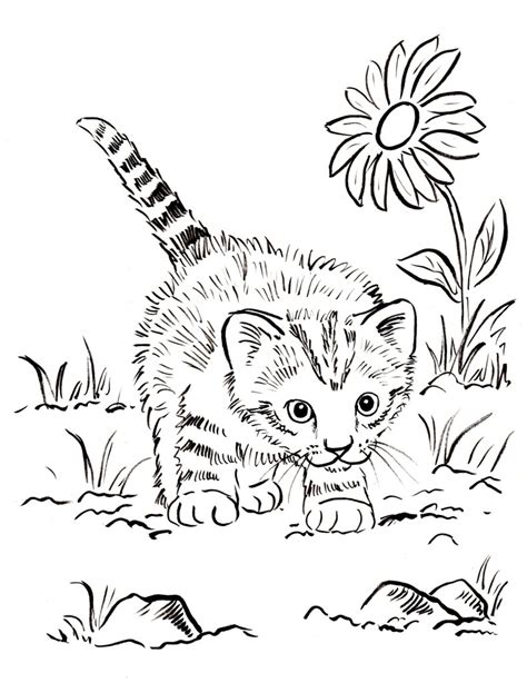 Kitten Coloring Page | Art Starts