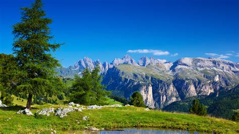1920x1080 trees, italy, alpen, mountains, alps, nature, alpes, stones ...