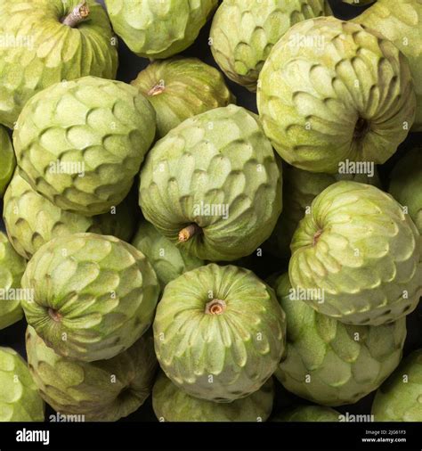 cherimoya, annona cherimoya, cone shaped edible fruit also known as ...