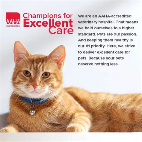 What is AAHA? | Veterinarian in Cincinnati | Montgomery Animal Hospital