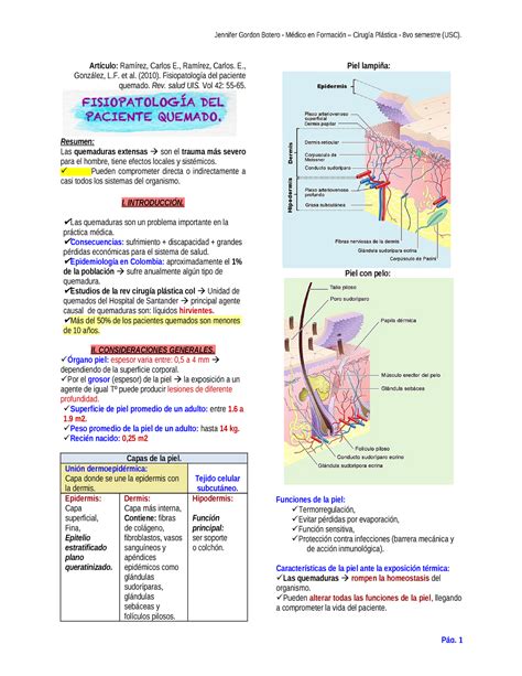 Resumen DE Quemaduras pdf Artículo Ramírez Carlos E Ramírez