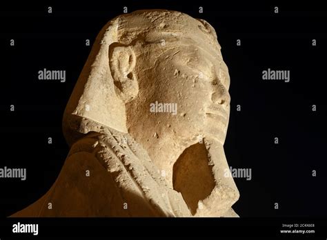 Statue At Avenue Of Sphinxes In Ancient Egyptian Luxor Temple Lit Up