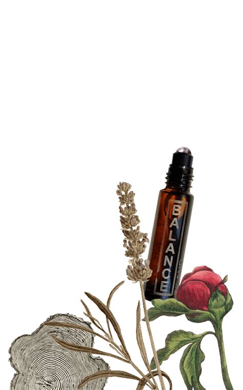 Oiland – The Art of Skin Care & Aromatherapy