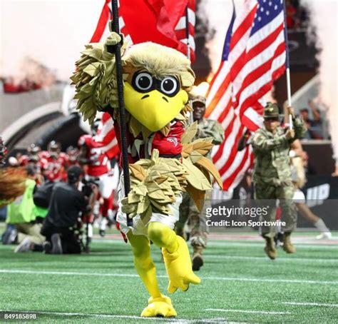 Freddie Falcon Photos and Premium High Res Pictures - Getty Images