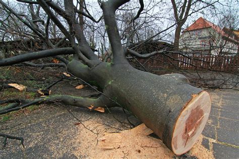 Unwetter in Deutschland Sturmtief Billie wirbelt kräftig