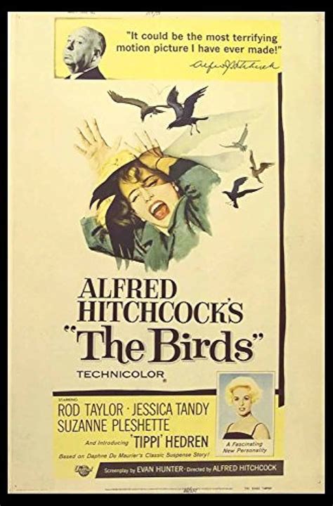 The Birds 1963 Poster