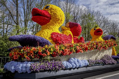 Visit The Flower Parade In Holland