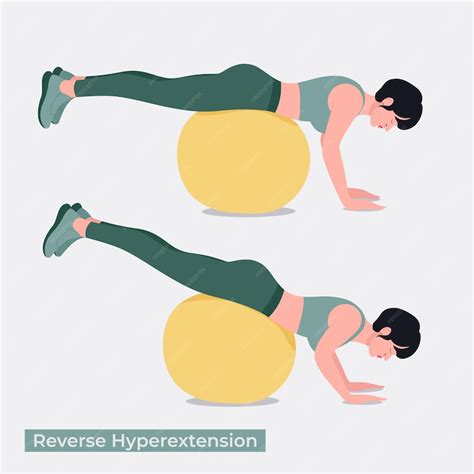 Premium Vector Stability Ball Reverse Hyperextension Exercise Woman