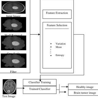 The proposed Brain Tumor Diagnosis Method. | Download Scientific Diagram