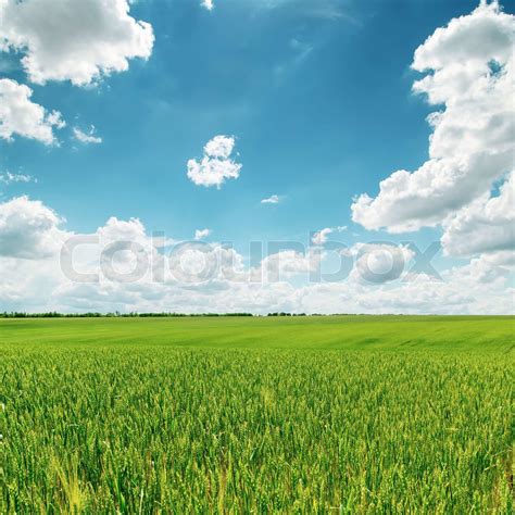 grünen Feld und blauen Himmel bewölkt | Stock Bild | Colourbox