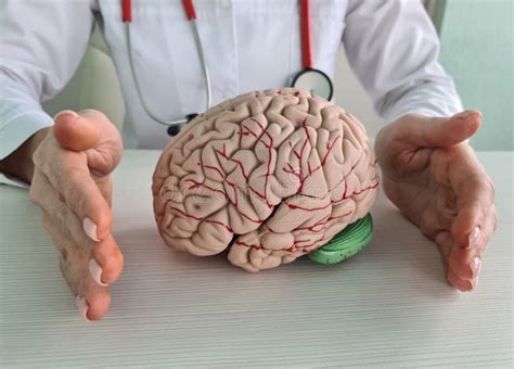 Protection Treatment Of The Brain And Prevention Of Health In Neurology