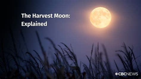 The Harvest Moon Is Coming Here S What You Need To Know Youtube