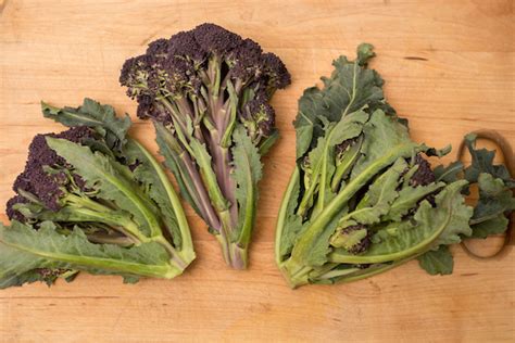 Broccoli Purple Sprouting Archives Cook With What You Have