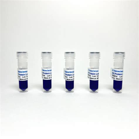 6x Sds Sample Buffer Recipe Deporecipe Co