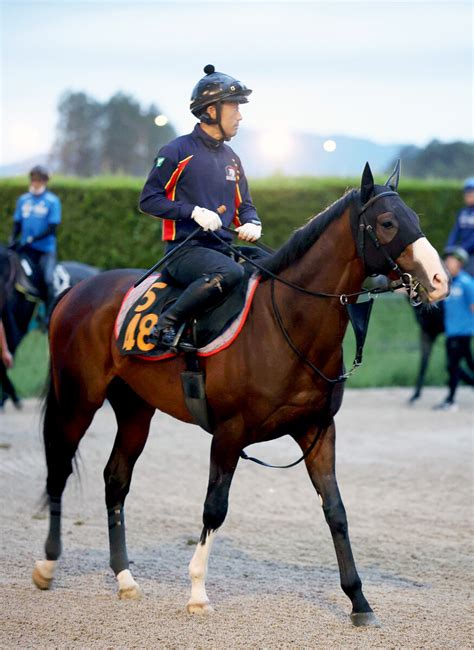 【神戸新聞杯】馬トクスタッフが選ぶ菊花賞本番でも怖い3頭 栗東滞在のサスツルギ、経験豊富なサヴォーナ、ダービー3着ハーツコンチェルト スポーツ報知