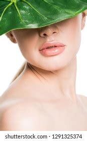 Beautiful Naked Girl Green Tropical Leaf Stock Photo 1291325374 Shutterstock