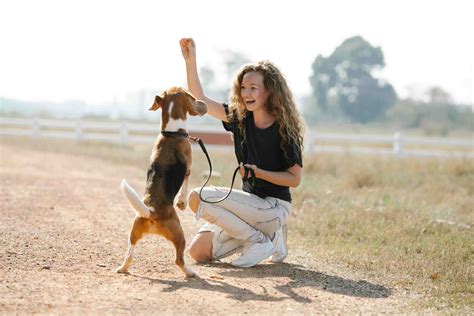 4.7 ⭐ Sit Means Sit Dog Training - Austin Reviews by Real Customers