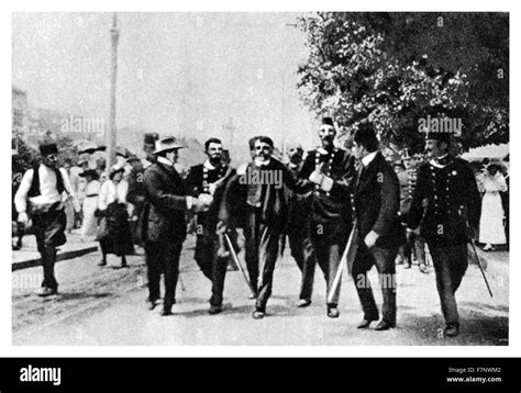 the arrest of gavrilo princip, the Serbian assassin of archduke franz ...