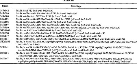 Table 1 From Characterization Of The Roles Of The Succhurvmyces