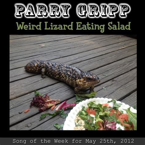 ‎weird Lizard Eating Salad Single Album By Parry Gripp Apple Music