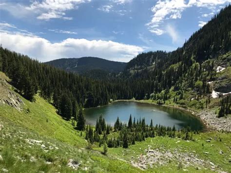 10 Best Hikes And Trails In Lolo National Forest Alltrails