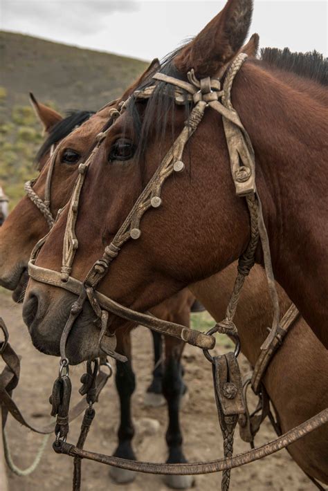 Best Patagonia Luxury Lodge - Knowmad Adventures