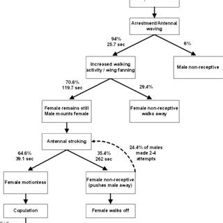 PDF Courtship Behavior In Relation To The Female Sex Pheromone In The Parasitoid Aphidius