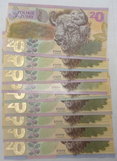 Banknoty Testowe Pwpw Polskie Ubry Kpl Szt