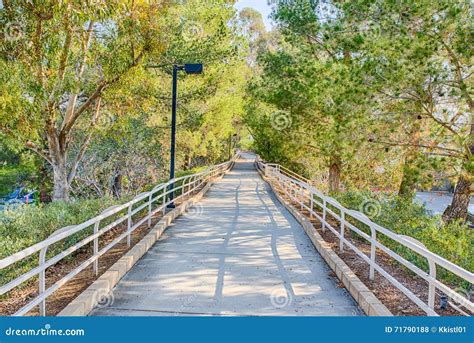 Walking Path Through Woods Stock Photo Image Of Biking 71790188