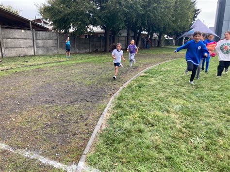 Participaci N Campeonato De Atletismo Osorno College Lyc E Claude Gay Osorno Colegio