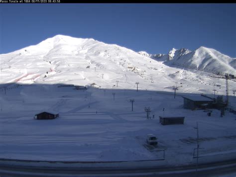 Passo Tonale webcam | Adamello ski