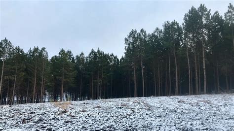 Onda De Frio Afeta Sul Do Brasil Nevou Em Mais De 20 Cidades E