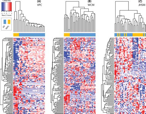 Figure 2 From The Long Noncoding RNA Landscape Of Neuroendocrine