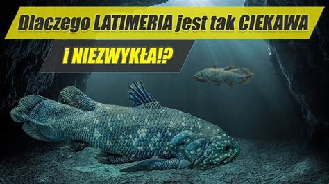 Latimeria Skamieniałość Która Nie Wyginęła Najdziwniejsze