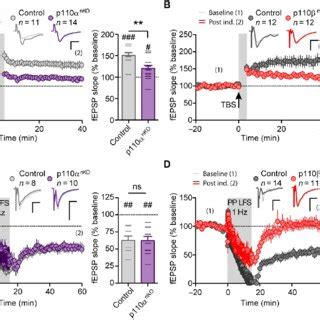 Neuronal p110α and p110β isoforms are differentially required for ...