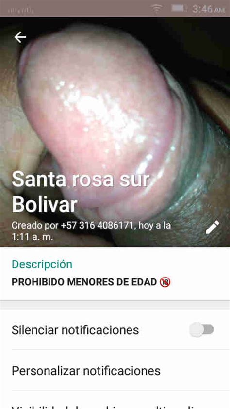 Grupos Gay De Whatsapp Gay Groups In Whatsapp Guia Gay Colombia