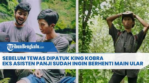 Sebelum Tewas Dipatuk King Kobra Eks Asisten Panji Petualang Sudah