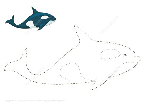 Learn To Draw A Whale By Tracing Dashed Lines And Color Free