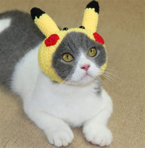 Nyan Cat Cosplay
