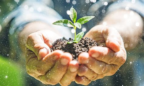 How to Celebrate and Help Protect Nature this “World Nature
